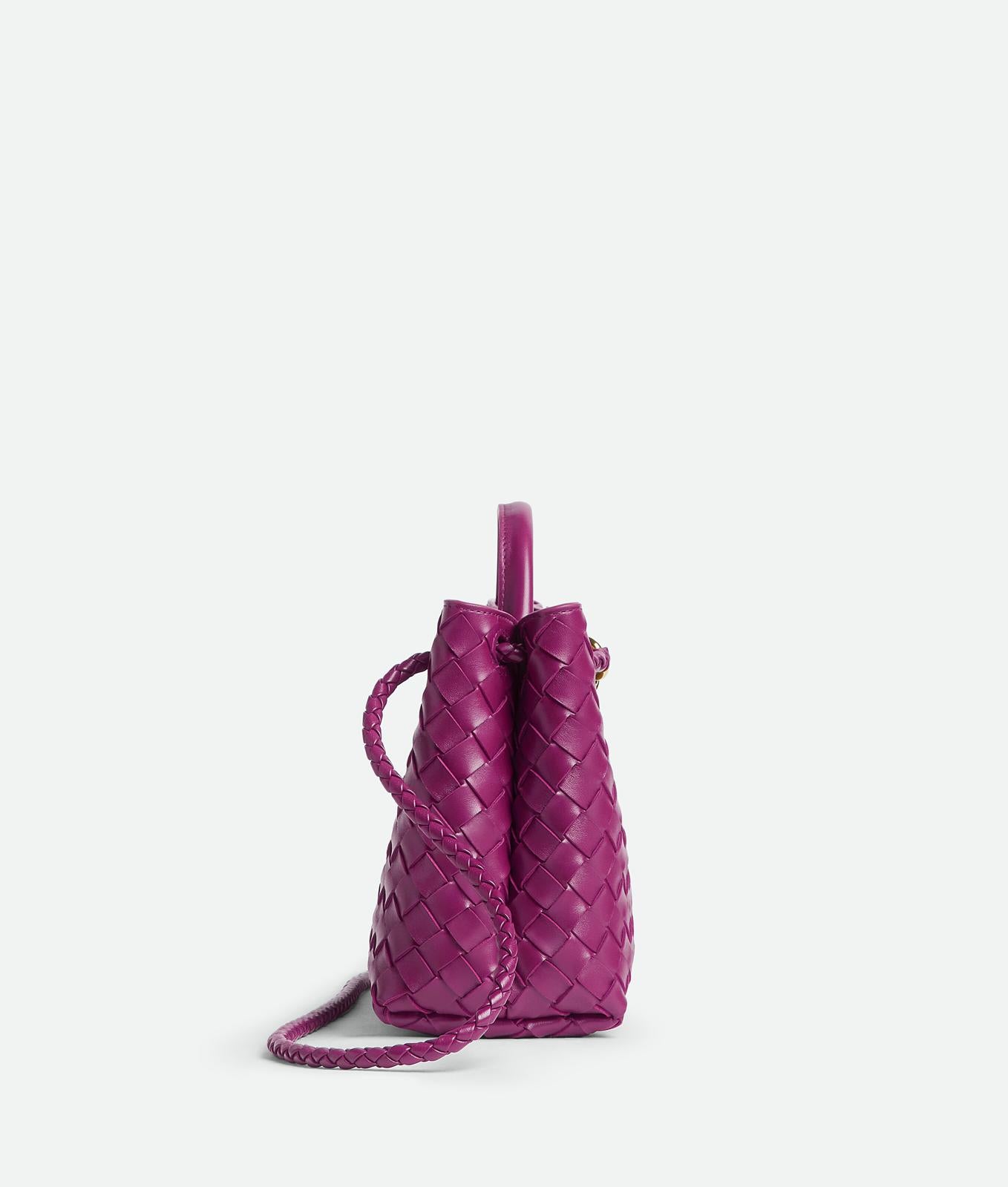 Bottega Veneta Purple