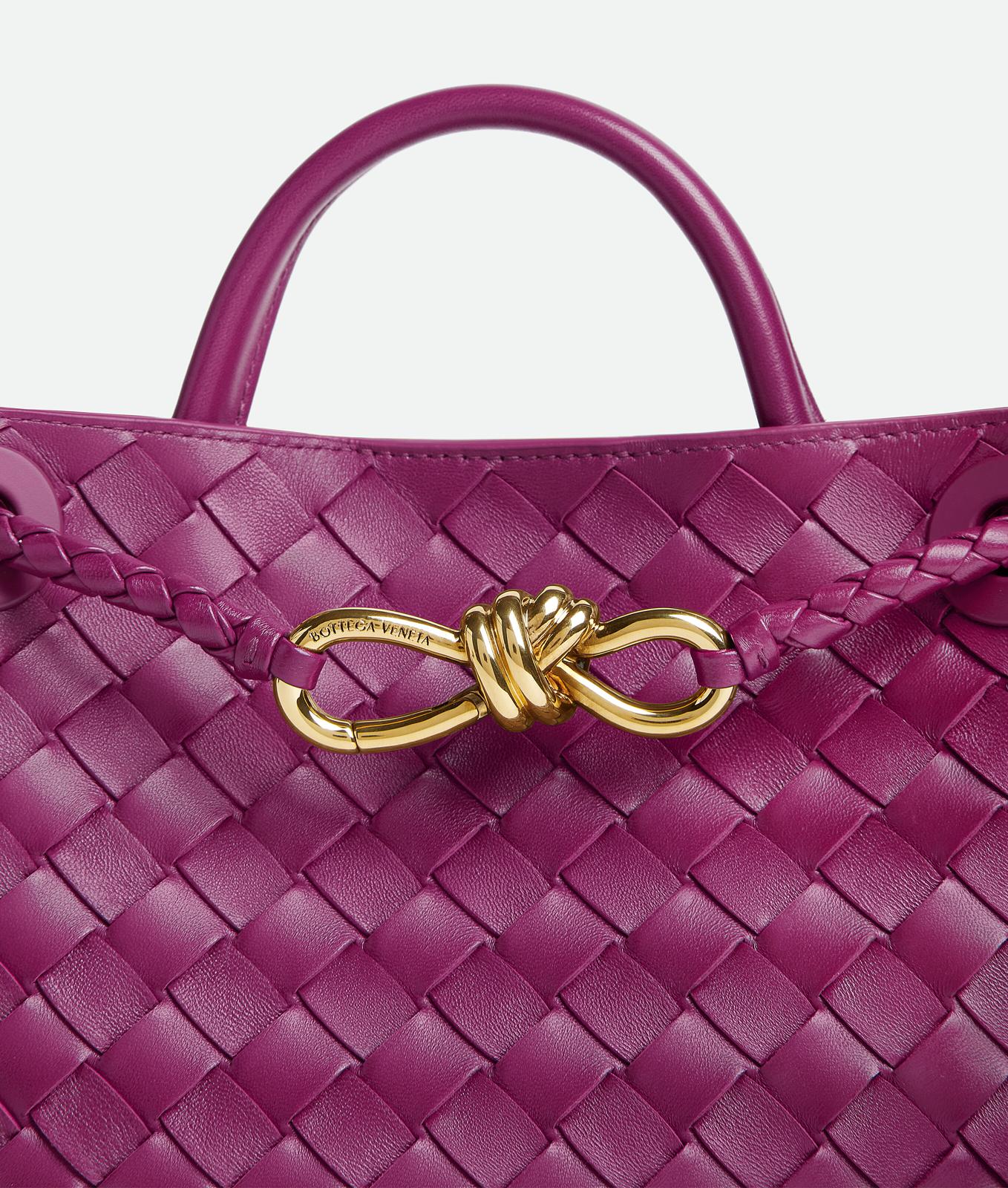 Bottega Veneta Purple